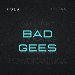 Bad Gees (feat. Bekam) - Single by Pula album reviews, ratings, credits