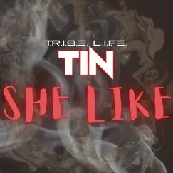 She Like - Single by T.R.I.B.E. L.I.F.E. TIN album reviews, ratings, credits