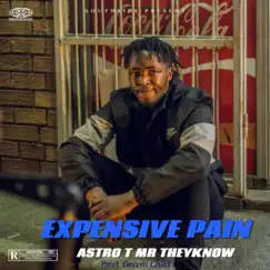 Expensive Pain - Single by Astro T Mr Theyknow album reviews, ratings, credits