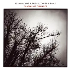 Season of Changes by Brian Blade & The Fellowship Band album reviews, ratings, credits