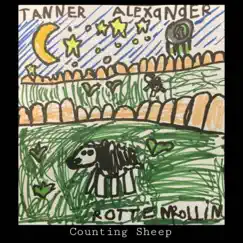 Counting Sheep (feat. Rotten Rollin, Peter Distefano & Mikal Blue) - Single by Tanner Alexander album reviews, ratings, credits