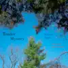 Tender Mystery - Single album lyrics, reviews, download