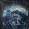 Sturdy (feat. Ian i-Cee & Wasteland Doctor) - Single album lyrics, reviews, download