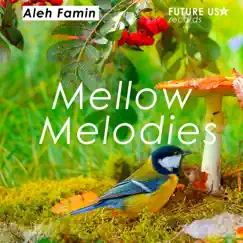 Mellow Melodies Song Lyrics