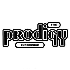 Experience by The Prodigy album reviews, ratings, credits