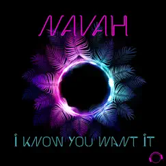 I Know You Want It - Single by NAVAH album reviews, ratings, credits