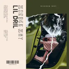 Wonder Why - Single by Lil Dril album reviews, ratings, credits