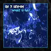 What U Say - Single album lyrics, reviews, download