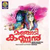 Vrinthavanathil song lyrics