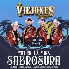 Popurrí la Pura Sabrosura: La Gallina/ Cumbia Caliente/La Güera Salome/ Agüita de Melón - EP by Los Viejones De Linares album reviews, ratings, credits