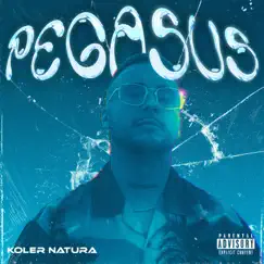 PEGASUS - Single by Koler Natura album reviews, ratings, credits