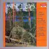 Sibelius: String Quartet "Voces Intimae" & Piano Quintet in G Minor album lyrics, reviews, download