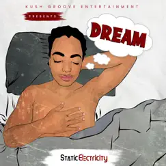 Dream - Single by Static Electricity album reviews, ratings, credits