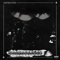 Destruction - Single by NRG album reviews, ratings, credits