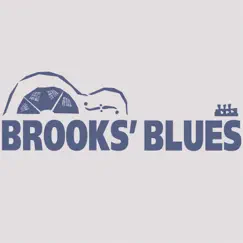 Brooks' Blues by Brooks Williams album reviews, ratings, credits