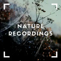Green Sounds of Nature by Natural Sample Makers, Natural Sound Makers & Nature Recordings album reviews, ratings, credits