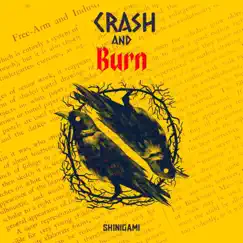 Crash and Burn (Radio Edit) Song Lyrics