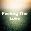 Feeling the Love - Single album lyrics, reviews, download