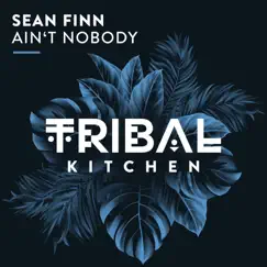 Ain't Nobody (Extended Mix) - Single by Sean Finn album reviews, ratings, credits