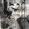 I Envy The Birds album lyrics, reviews, download