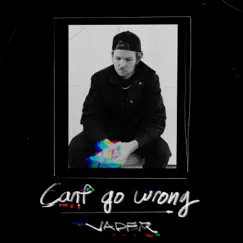 Can't Go Wrong - Single by Vader the Villin album reviews, ratings, credits