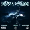 INCASTRI NOTTURNI - Single album lyrics, reviews, download