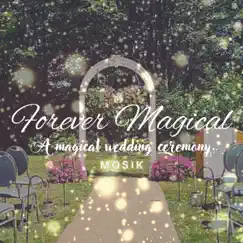 Medley of the Heroes - A Magical Wedding Processional Song Lyrics