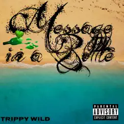Message in a Bottle - Single by Trippy Wild album reviews, ratings, credits