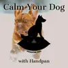 Calm Your Dog with Handpan album lyrics, reviews, download
