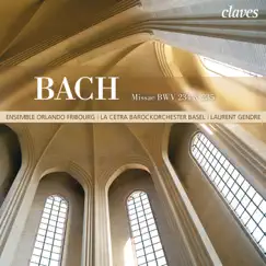 Missa brevis in G Minor, BWV 235: V. Qui tollis peccata mundi Song Lyrics