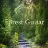 Forest Guitar album lyrics, reviews, download