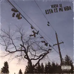 Esta Es Mi Vida - Single by VersoXL album reviews, ratings, credits