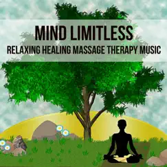 Mind Limitless - Relaxing Healing Massage Therapy Music for Positive Thoughts Sleep Remedies Wellbeing with Nature New Age Instrumental Sounds by Every Night Alder album reviews, ratings, credits