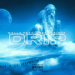 DRIP (feat. WALLA) - Single by Great Grinzo album reviews, ratings, credits