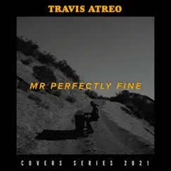 Mr. Perfectly Fine - Single by Travis Atreo album reviews, ratings, credits