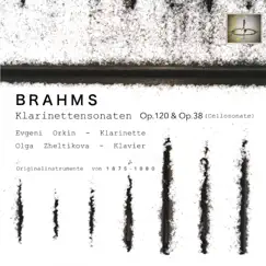 Brahms: Klarinettensonaten, Op. 120 und Op. 38: Gespielt auf historischen Instrumenten by Evgeni Orkin & Olga Zheltikova album reviews, ratings, credits