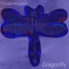 Dragonfly - Single album lyrics, reviews, download