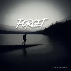 Forget - Single by Dj Stretch album reviews, ratings, credits