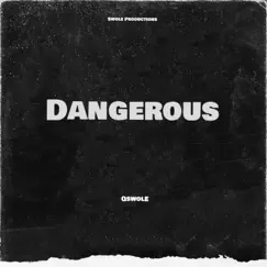 Dangerous - Single by Qswole album reviews, ratings, credits