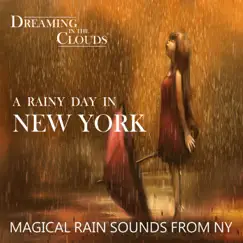Walking the Streets of New York With Rain Song Lyrics