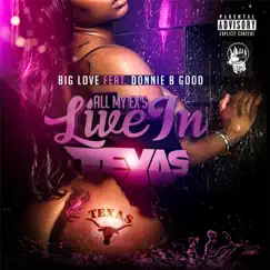All My Ex's Live in Texas (feat. Donnie B Good) Song Lyrics
