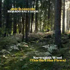 Norwegian Wood (This Bird Has Flown) - Single by José Ibarreche & Ricardo Salvador album reviews, ratings, credits
