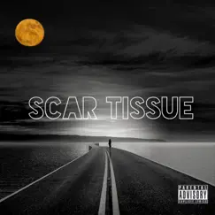 Scar Tissue Song Lyrics