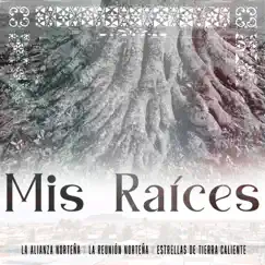 Mis Raíces Song Lyrics