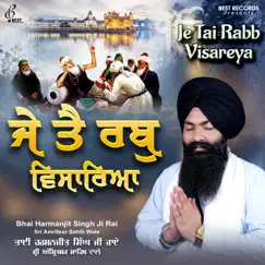 Je Tai Rabb Visareya by Bhai Harmanjit Singh JI Rai album reviews, ratings, credits