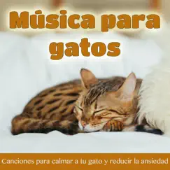 Música Para Gatos: Canciones Para Calmar a Tu Gato y Reducir la Ansiedad by Cat Music Dreams & RelaxMyCat album reviews, ratings, credits