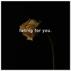 Falling For You - Single by Anonymbeatz album reviews, ratings, credits
