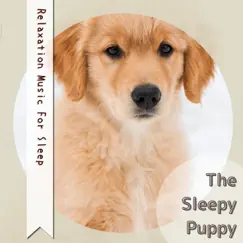 Relaxation Music For Sleep by The Sleepy Puppy album reviews, ratings, credits