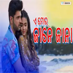 A Mor Jane Jana - Single by Anil album reviews, ratings, credits