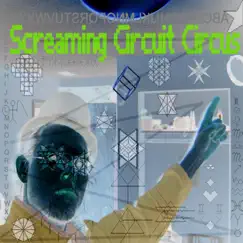 Screaming Circuit Circus by Digital album reviews, ratings, credits